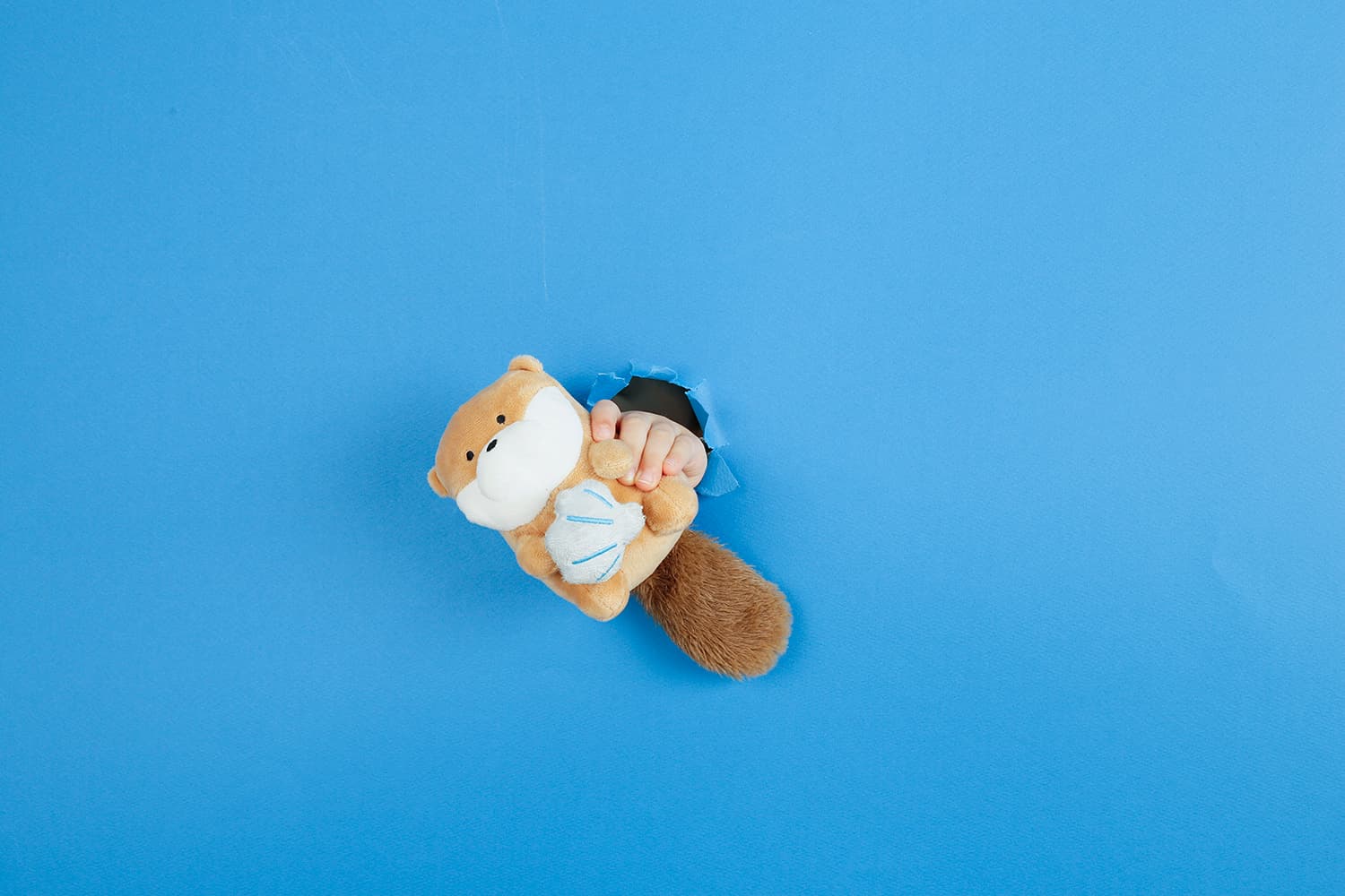 성남 분당구 사진관 컨셉 프로필 촬영 사진