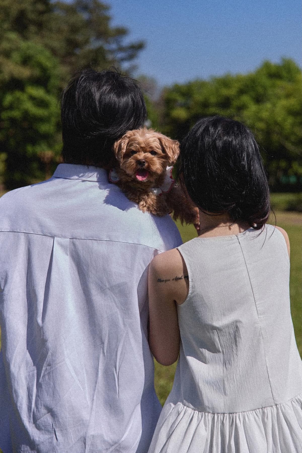 들판에서 강아지와 함께 걷고 눈 맞추는 장면 1