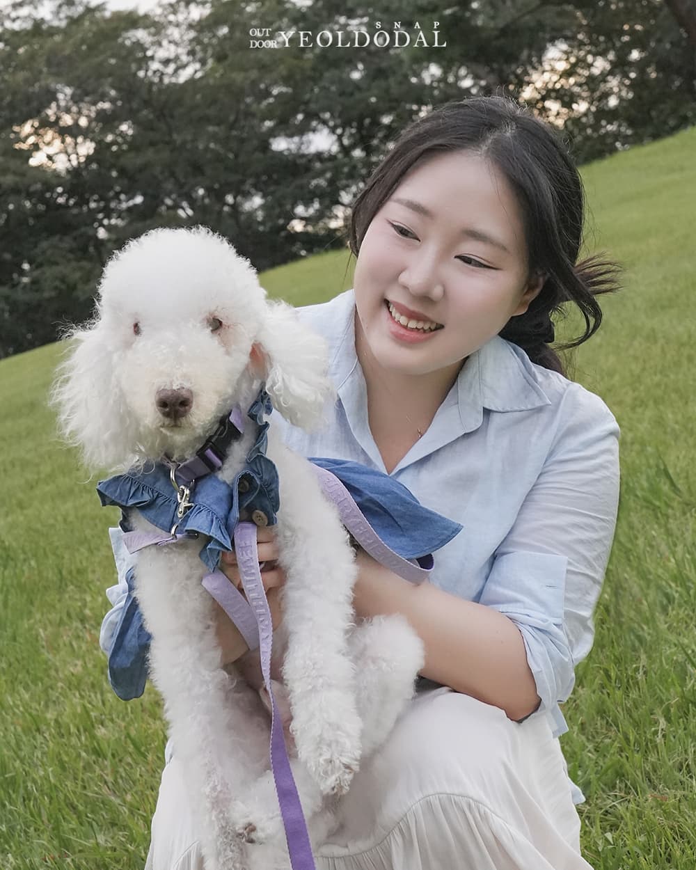 올림픽공원 노견 반려견 야외 낮잠 스냅 반려동물스냅 촬영 사진